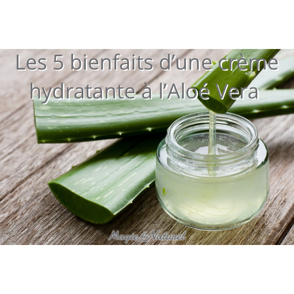 Pourquoi choisir une crème hydratante à l’aloe vera ?